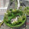 Check Out The Big, Leafy Lounging Bowl Coming To The High Line